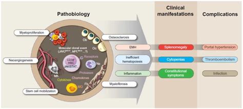 How Myelofibrosis Affects Your Body | Med-Q Pill Dispenser