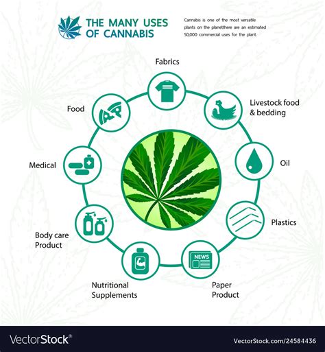 Cannabis benefits for health Royalty Free Vector Image