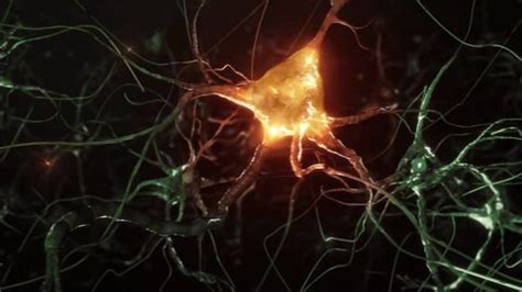 Animation Neurons Brainsynapse Neuron Cells Sending Stock Footage Video ...