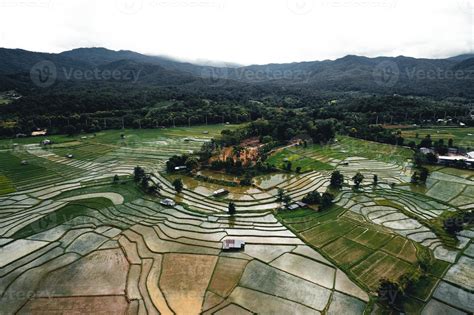 Landscape paddy rice field in Asia, aerial view of rice fields 3322592 ...