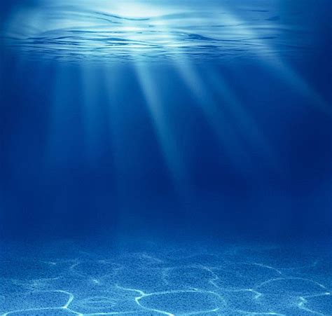 Sunlight Underwater Light High Quality Pictures | Ocean underwater, Water pictures, Water ...