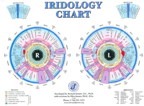 HEALING WAYS: IRIDOLOGY CHARTS