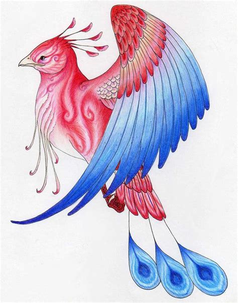 Peng by *verreaux | Mythical birds, Bird drawings, Fantasy artwork