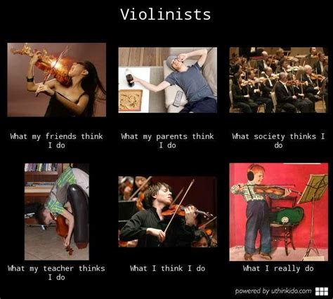 Fiddle Vs Violin Joke | Freeloljokes