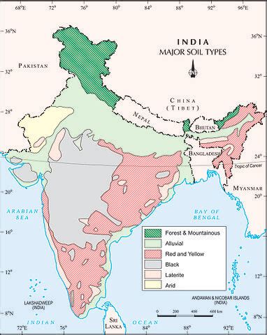 Q Mark the major soil types of India - Social Science - Development - 12718147 | Meritnation.com