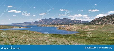 Eleven Mile Reservoir stock photo. Image of wildlife - 102603254