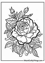 Rose Coloring Pages  Original And 100% Free 2021 sketch template