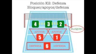 Reductor Soportar principal posiciones de los jugadores en voley Ya ...