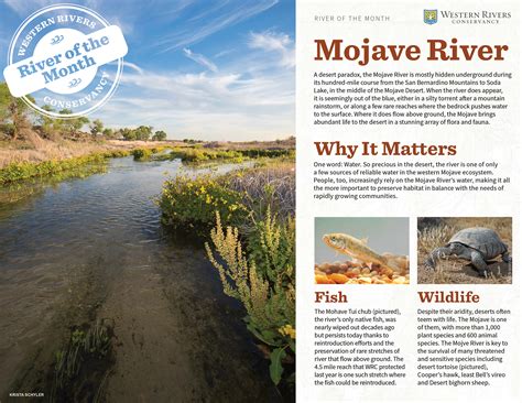 Mojave River - Western Rivers Conservancy