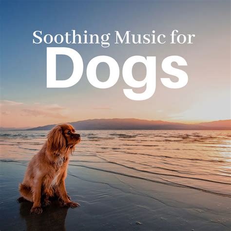 Soothing Music for Dogs CD - Puppy & Dog Relaxation Songs for ...