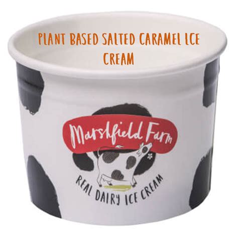 Marshfield Plant Based Salted Caramel Ice Cream 1 x 2.4ltr – Ashton Farms Of Wiltshire