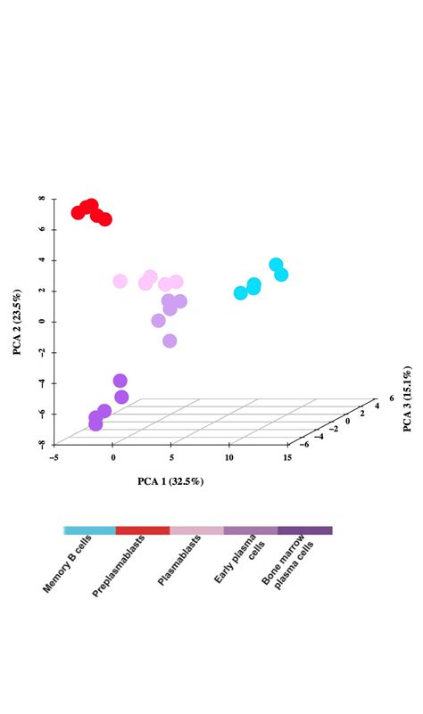 In Vitro Model of Human Plasma Cell Differentiation - Diag2Tec