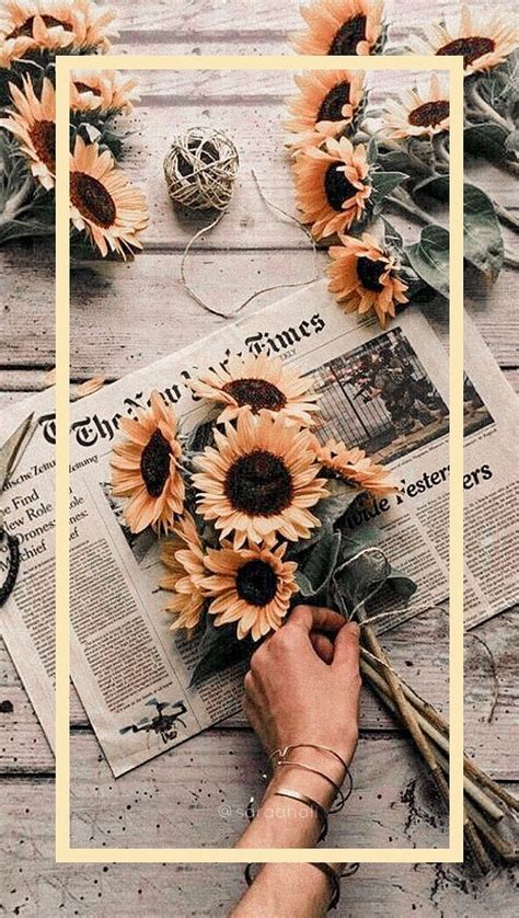 Sunflower, aesthetic, yellow, flower, yellow flower, pastel yellow, HD phone wallpaper | Peakpx