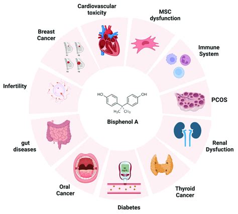 The adverse effects of bisphenol A on human health. BPA can negatively... | Download Scientific ...