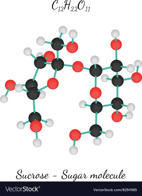 C12h22o11 sucrose sugar molecule Royalty Free Vector Image