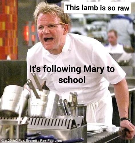 Chef Gordon Ramsay Meme Generator - Piñata Farms - The best meme generator and meme maker for ...