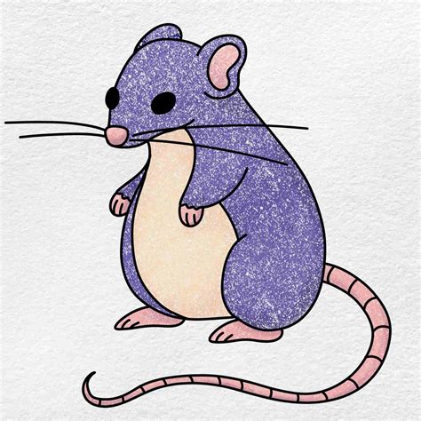 How to Draw a Rat - HelloArtsy