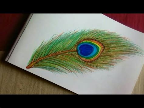 Color Peacock Feather Drawing - Mambu Png