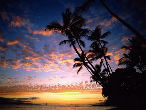 Paradise Sunset Wallpapers - Top Free Paradise Sunset Backgrounds ...