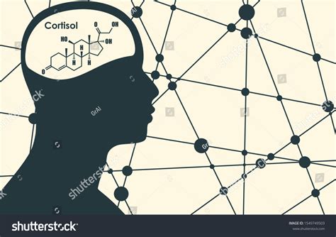 473 Cortisol Treatment Images, Stock Photos & Vectors | Shutterstock