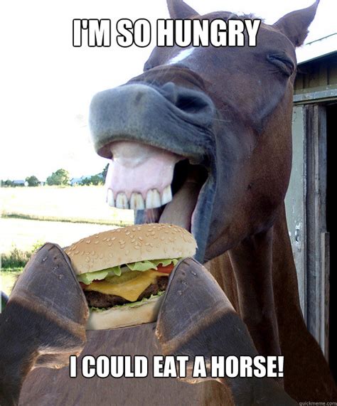 How Hungry Horse Meme Template