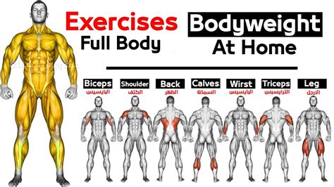 Full Body HOME Bodyweight WORKOUT (squats, Chest ,triceps, Biceps Back, Shoulder | atelier-yuwa ...