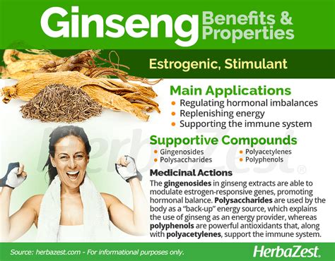 Ginseng | HerbaZest