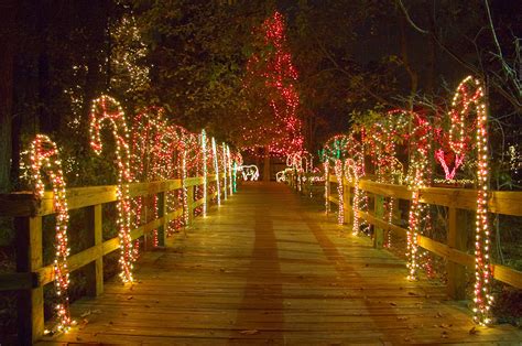 Riverbanks Zoo Christmas Lights • Christmas Lights Ideas