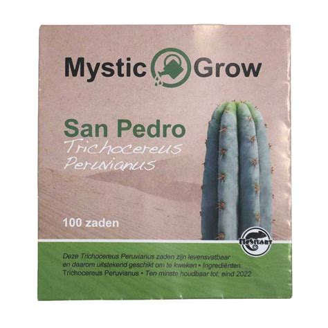 San Pedro Peruvianus Cactus Seeds 100 seeds | DutchSmartshops.com