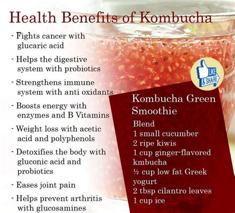 Natural, Organic and Herbal Cosmetics and Supplements | Kombucha benefits, Alkaline diet ...