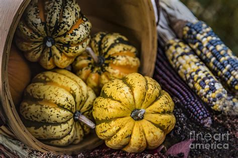 Autumn Thanksgiving Harvest Basket Overflowing Photograph by Alissa Beth Photography | Fine Art ...