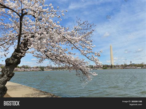 Washington Monument Image & Photo (Free Trial) | Bigstock