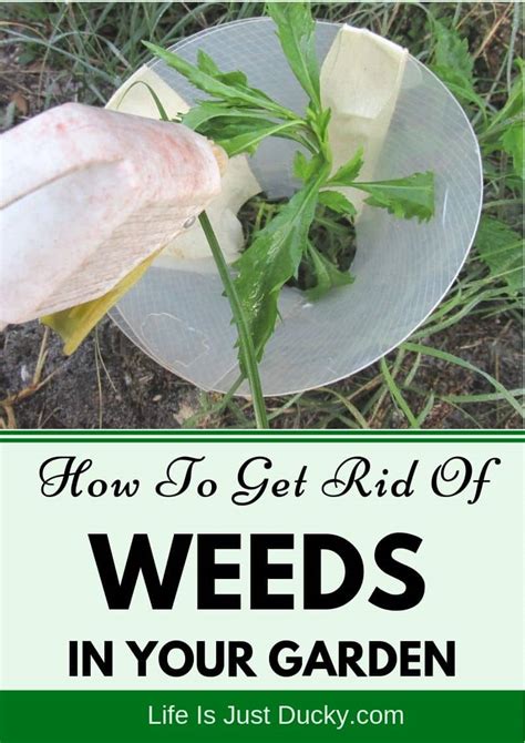 12 Best Ways To Get Rid Of Weeds In Your Garden. - Naturally - Life Is ...