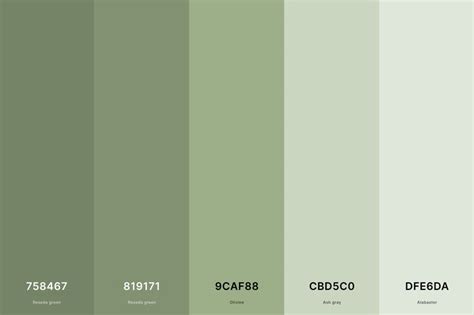 the color scheme is green and has different shades