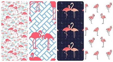 🔥 [40+] Vintage Pink Flamingo Wallpapers | WallpaperSafari