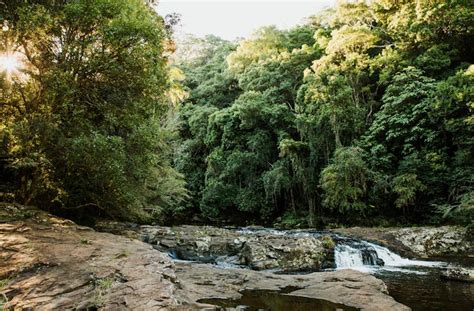 Your Ultimate Day Trip Guide To The Sunshine Coast Hinterland | URBAN ...