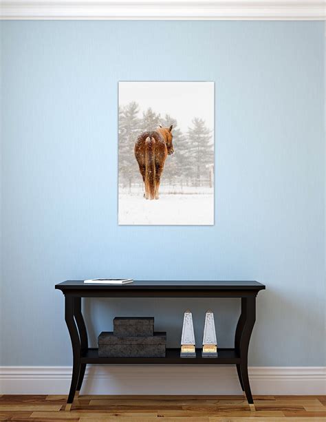 Horse Photography Winter Horse Photography Horse in the - Etsy