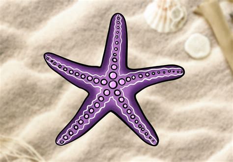 How to Draw a Starfish | Design School