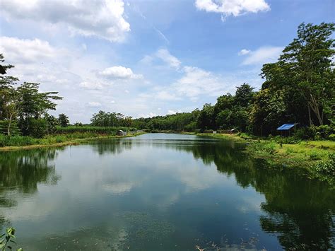 Problematika Alih Fungsi Hulu DAS Brantas dan Rekomendasi Penyelamatannya - Mongabay.co.id