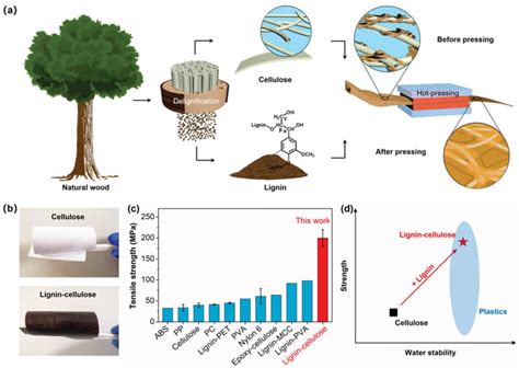 a) Schematic for the fabrication of a wood‐inspired lignin‐cellulose ...