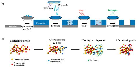 Polymers | Free Full-Text | Molecular Modeling of EUV Photoresist ...