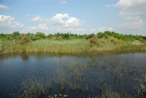 Yamuna Biodiversity Park | Sahapedia