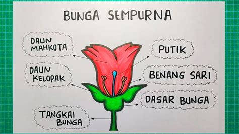 contoh gambar bunga sempurna dan keterangannya - Emma King