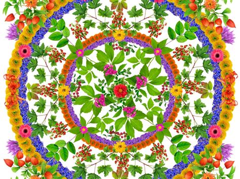 What Is A Mandala Garden: Tips On Building A Mandala Garden