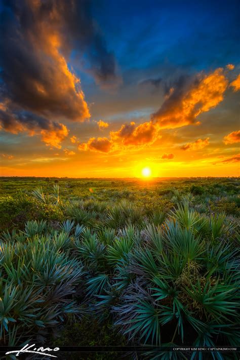 Juno Dunes Natural Area Sunset Over Florida Landscape