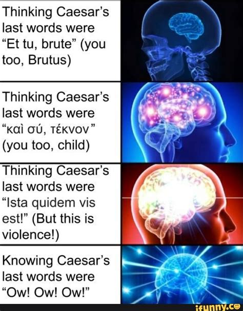 Thinking Caesar's last words were "Et tu, brute" (you too, Brutus ...