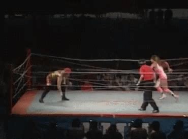 Wrestling GIF - Wrestling - Discover & Share GIFs