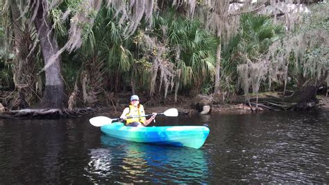 Kayaking with Manatees - YouTube