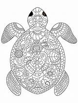 Turtle coloring pages For Adults sketch template