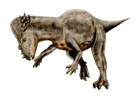 Pachycephalosaurus - Fotos, Hechos y Historia | Dinosaurios